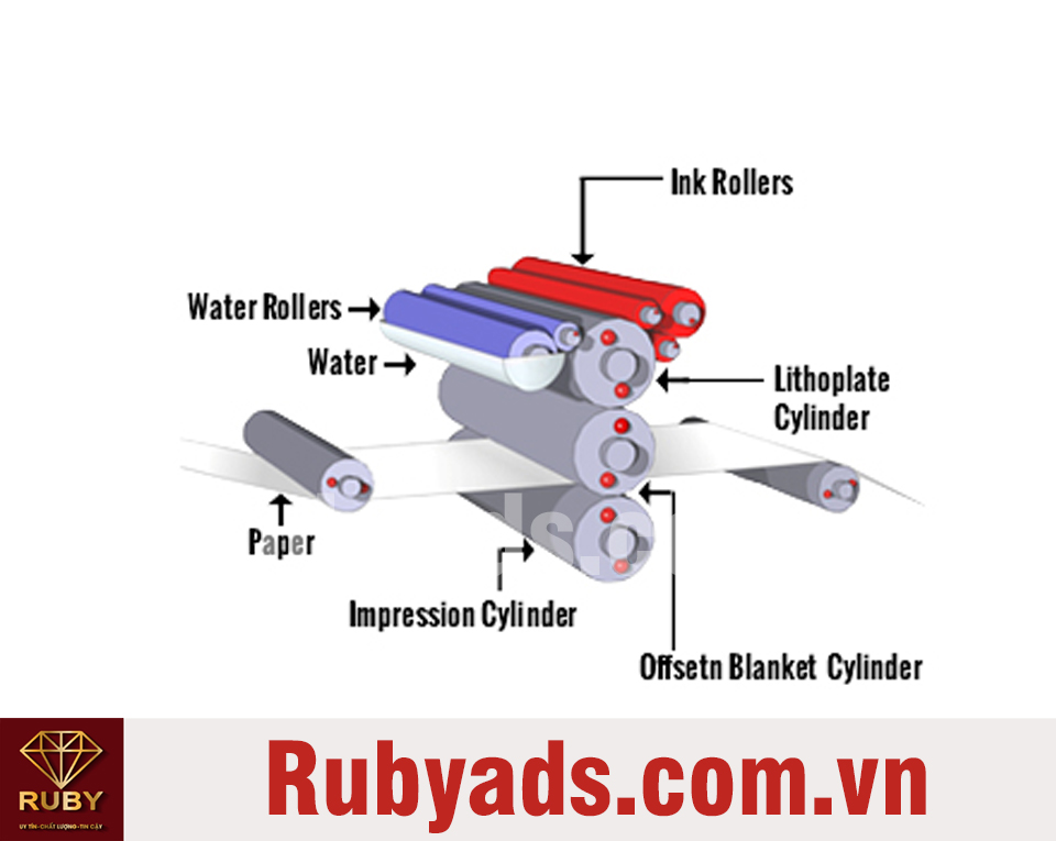 Quy trình in Offset 4 màu có những công đoạn nào? In ấn Ruby
