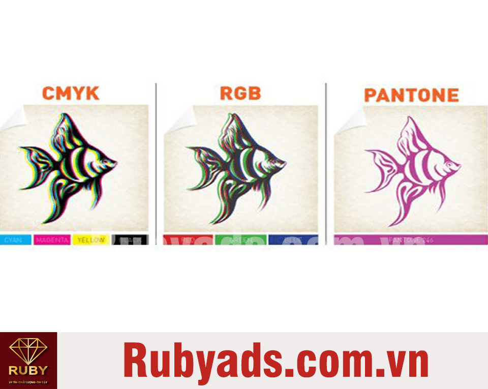 hệ màu CMYK trong in offset